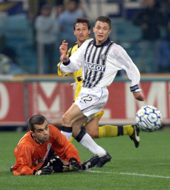 赛的观赏性 赛的观赏性